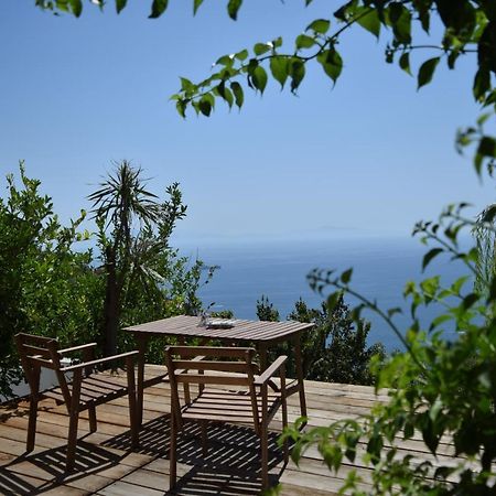 Casa Flora Bed & Breakfast Vietri Bagian luar foto
