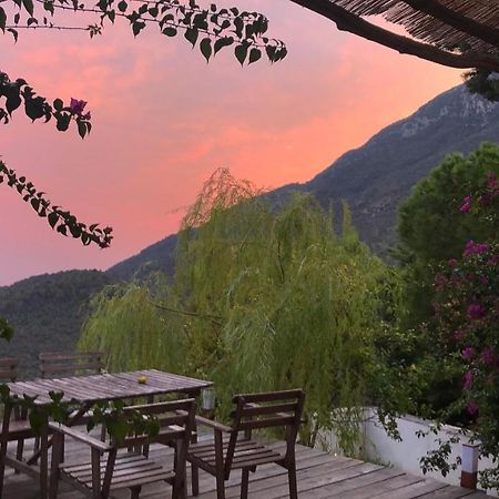 Casa Flora Bed & Breakfast Vietri Bagian luar foto