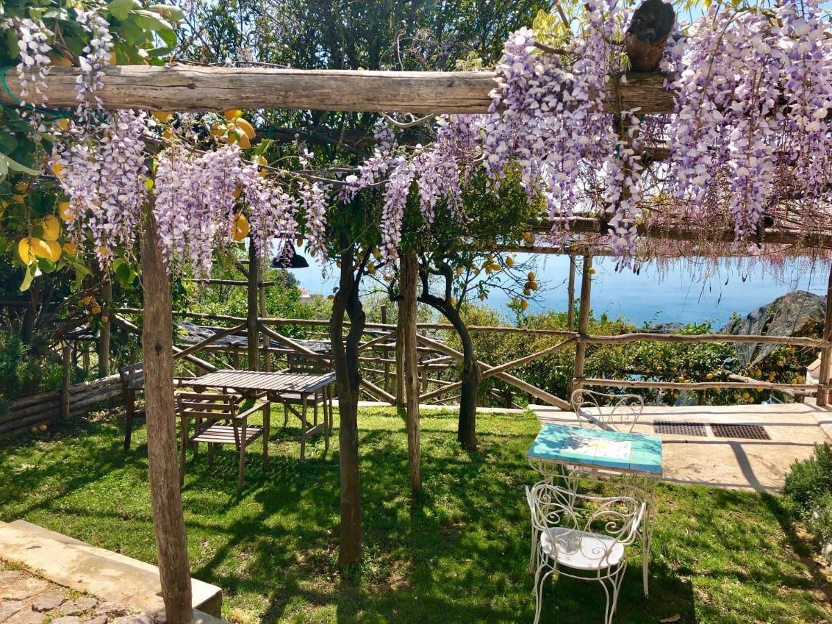 Casa Flora Bed & Breakfast Vietri Bagian luar foto