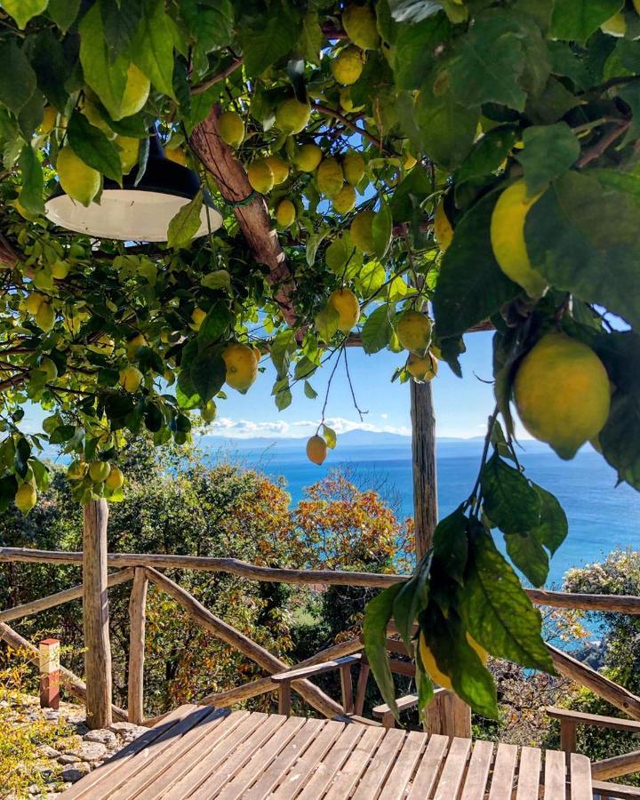Casa Flora Bed & Breakfast Vietri Bagian luar foto