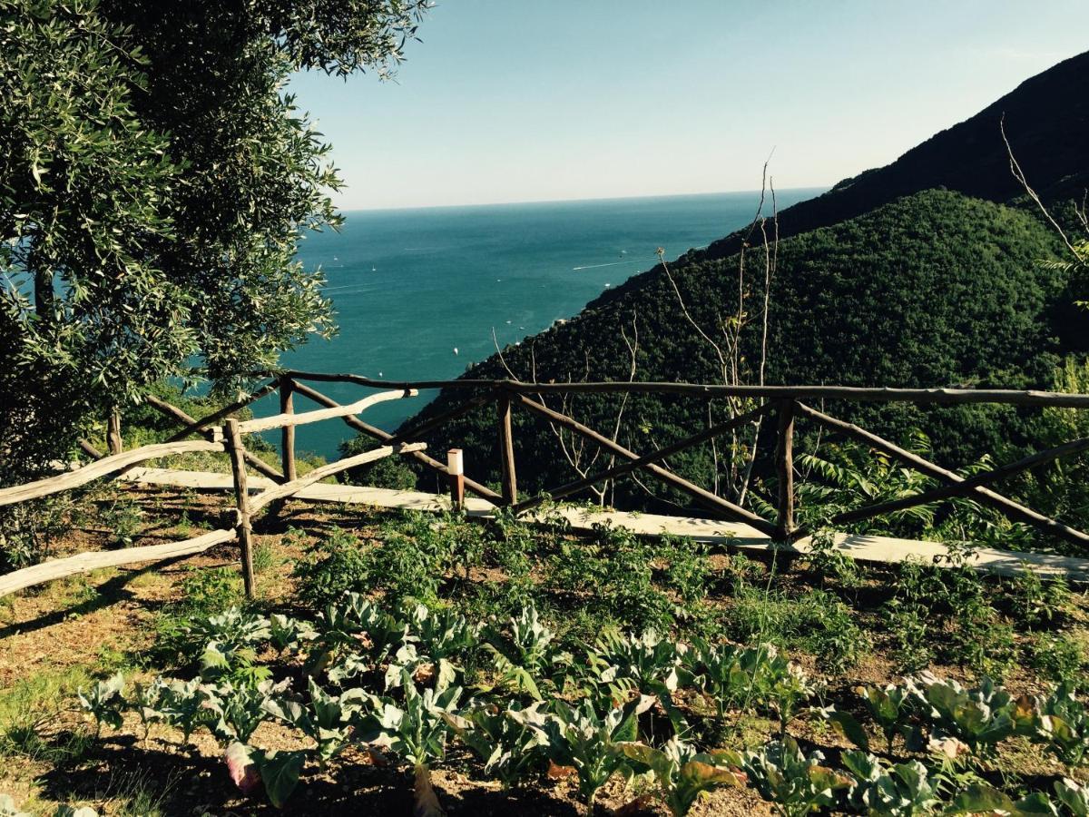 Casa Flora Bed & Breakfast Vietri Bagian luar foto