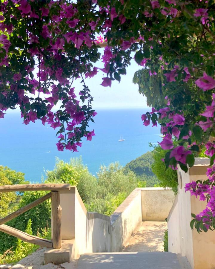 Casa Flora Bed & Breakfast Vietri Bagian luar foto