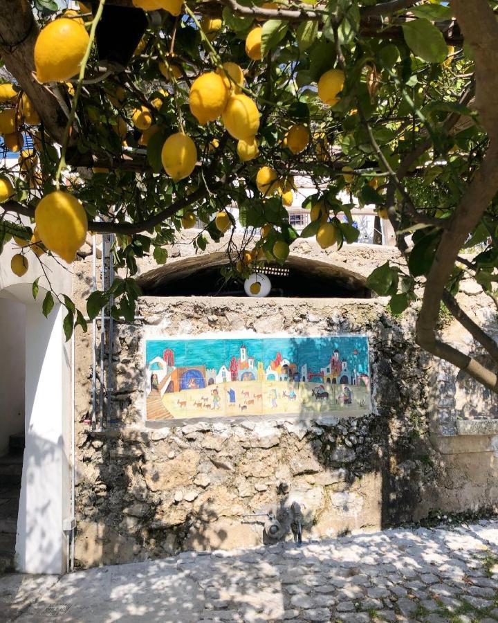 Casa Flora Bed & Breakfast Vietri Bagian luar foto