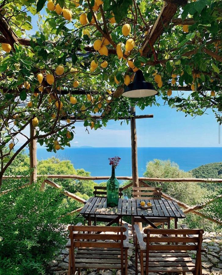 Casa Flora Bed & Breakfast Vietri Bagian luar foto
