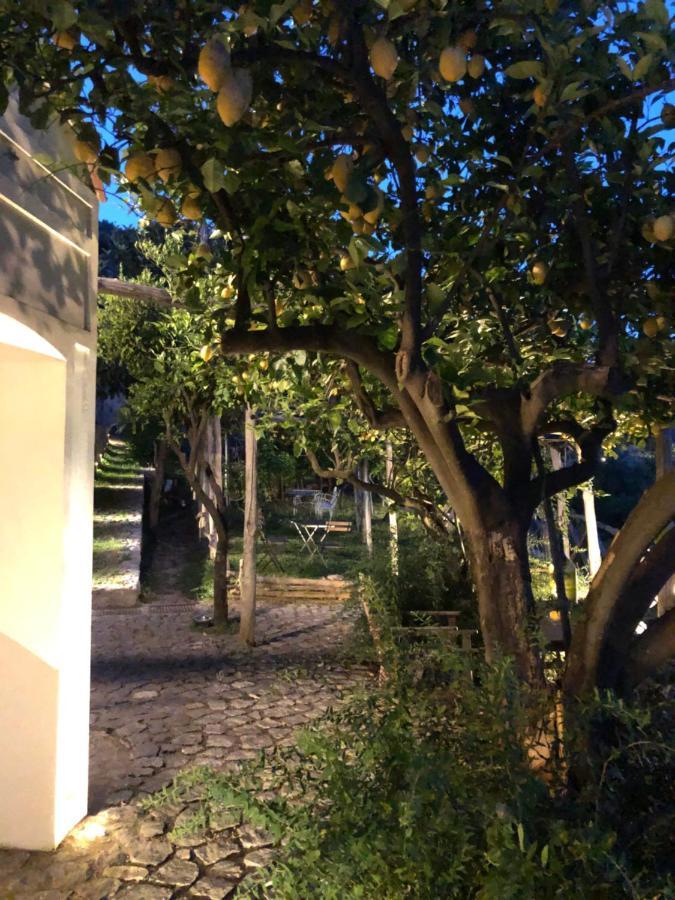 Casa Flora Bed & Breakfast Vietri Bagian luar foto