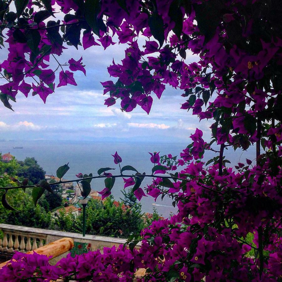 Casa Flora Bed & Breakfast Vietri Bagian luar foto