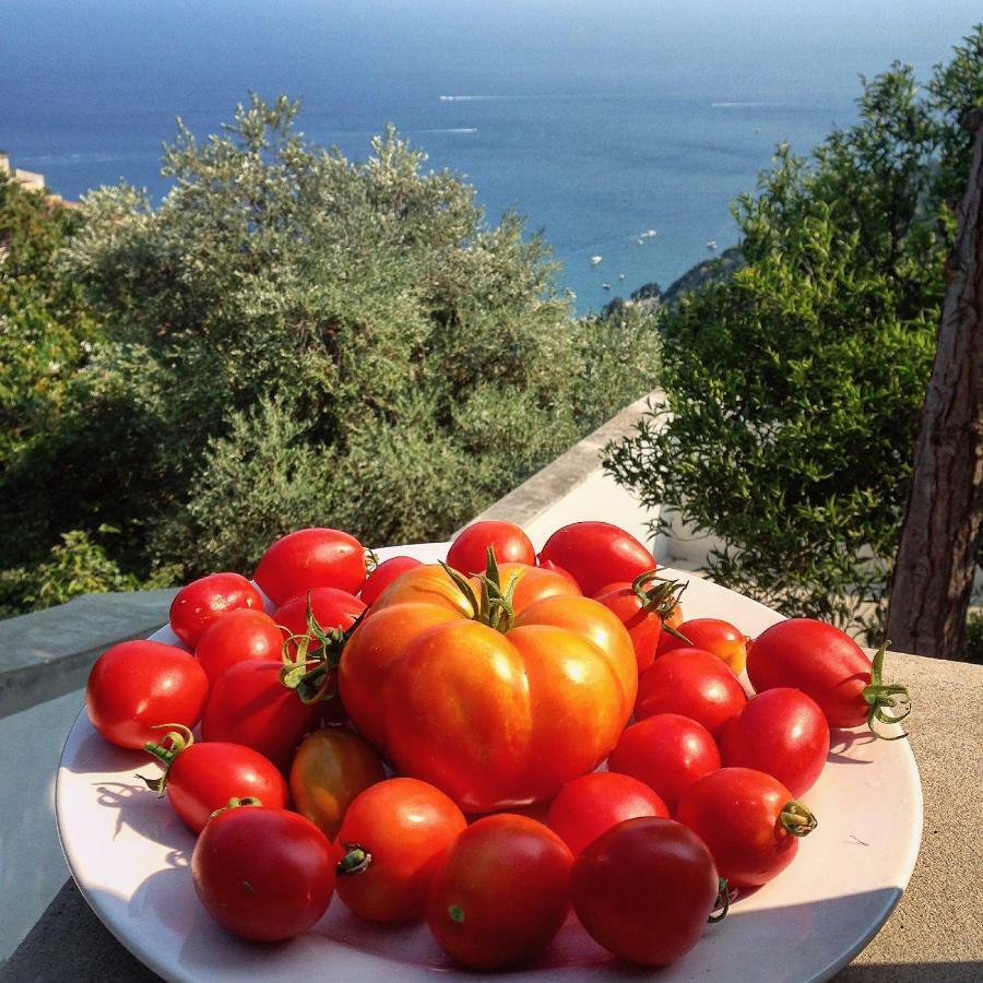 Casa Flora Bed & Breakfast Vietri Bagian luar foto