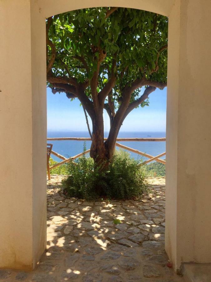 Casa Flora Bed & Breakfast Vietri Bagian luar foto