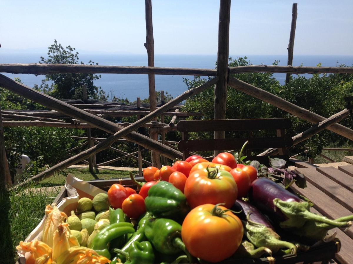 Casa Flora Bed & Breakfast Vietri Bagian luar foto